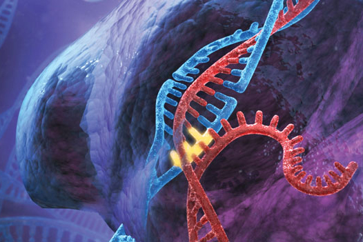 Ethical Dilemmas of Gene-Editing Technology in Clinical Settings