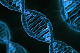 NYPD DNA Database May Violate Civil Rights