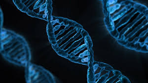 Ethics Experts on Using Genealogy DNA in Criminal Investigations